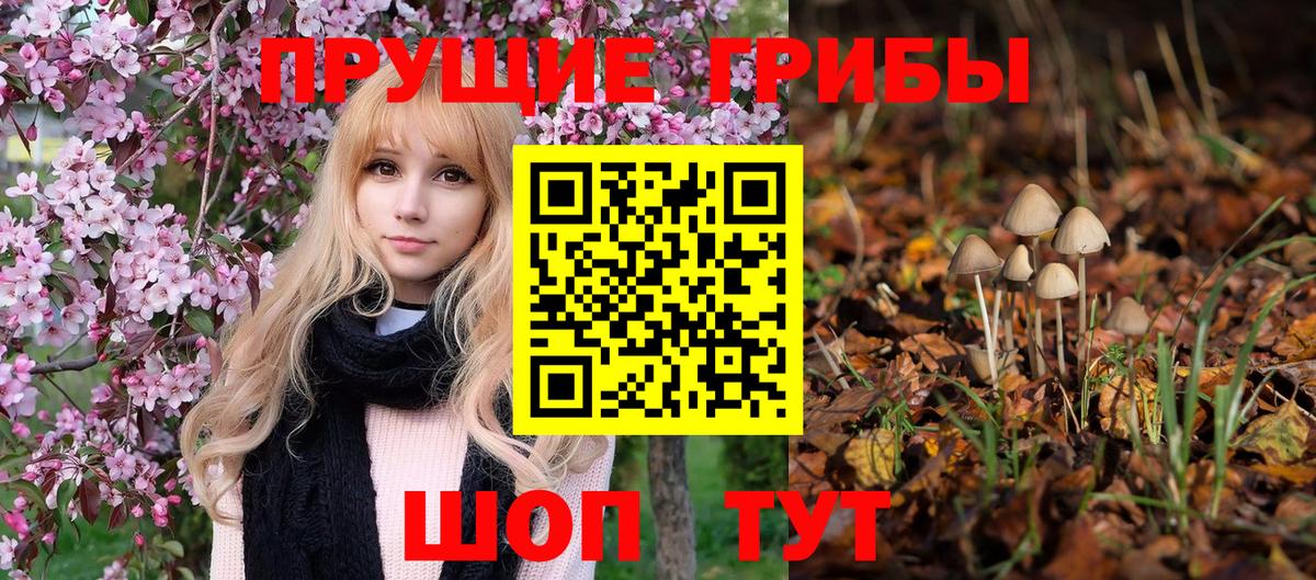 Галлюциногенные грибы прущие грибы Мытищи