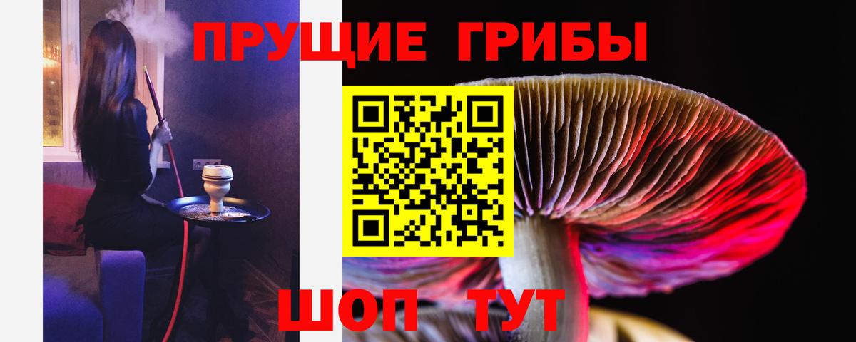 наркота  Вход с VPN  Мытищи  Псилоцибиновые грибы GOLDEN TEACHER 